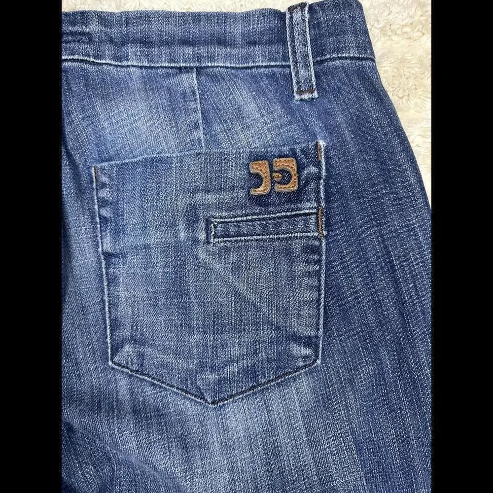 Y2K Joe's Jeans 'Stardust' flare jeans Size 28